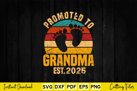 Promoted to Grandma 2025 Vintage Retro Graphics and Crafts Review
